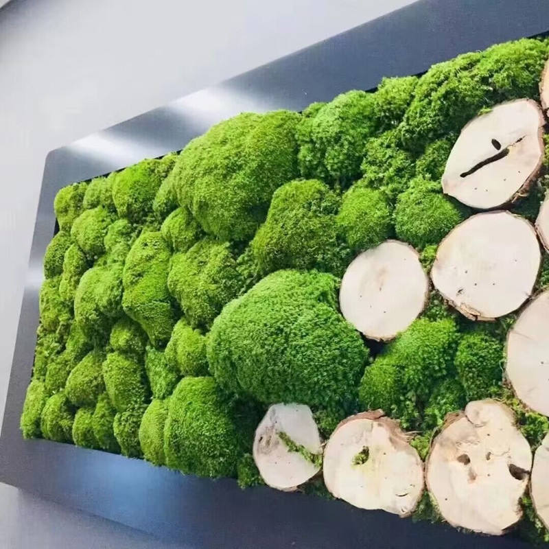 Decorative Background Green Wall Factory Wholesale Lawn Artificial Moss Turf for Modern Decor