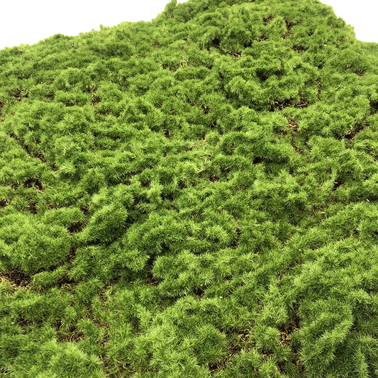 Decorative Background Green Wall Factory Wholesale Lawn Artificial Moss Turf for Modern Decor