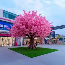 Commercial Landscape Series