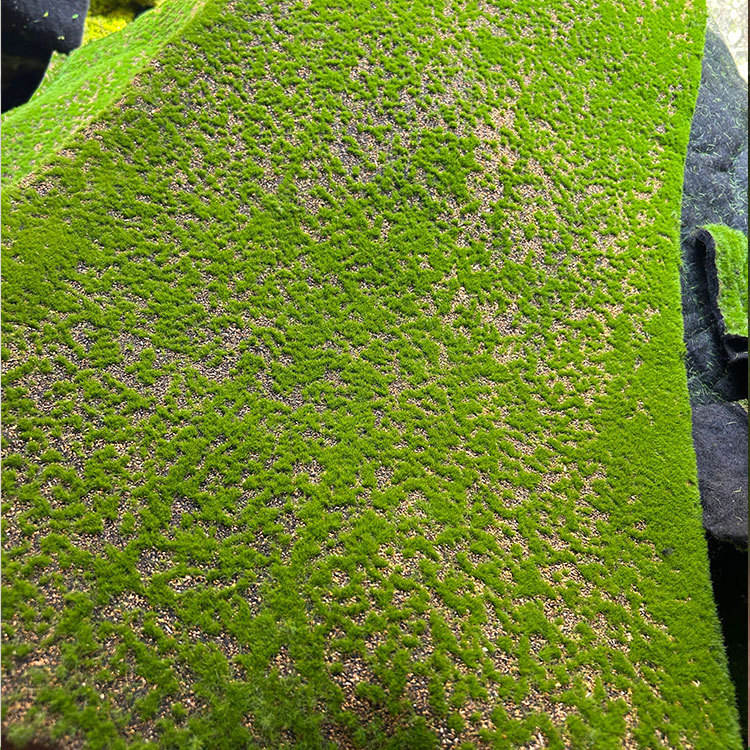 Decorative Background Green Wall Factory Wholesale Lawn Artificial Moss Turf for Modern Decor