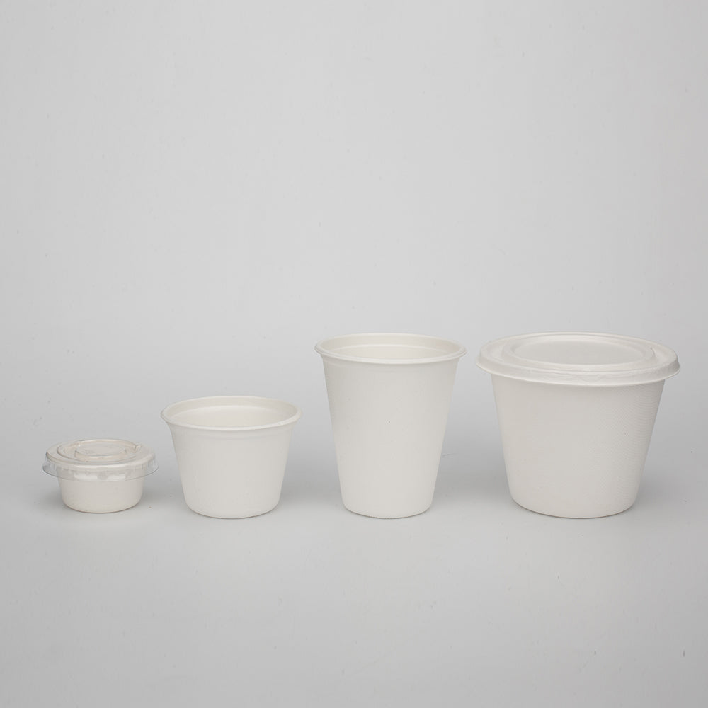 PFAS Free Compostable Biodegradable Plant Fiber Bamboo Sugarcane Bagasse Pulp Molding Tea Coffee Cups