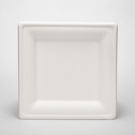 White environmentally friendly 8 inch disposable bagasse paper plate square bagasse plate for party