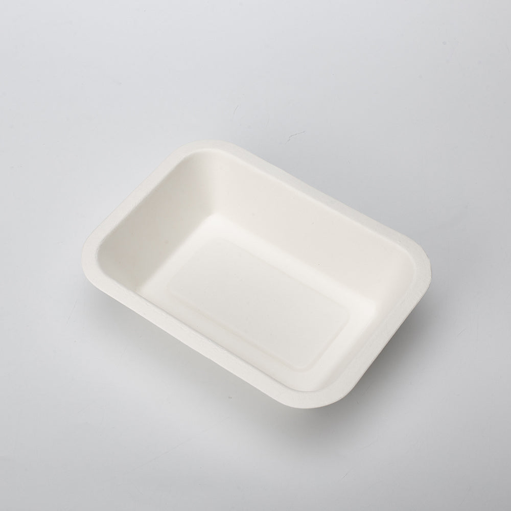 Biodegradable Compostable Sugarcane Bagasse Pulp Mould Fast Food Fruit Disposable Packaging Tray