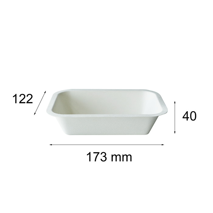 Biodegradable Compostable Sugarcane Bagasse Pulp Mould Fast Food Fruit Disposable Packaging Tray